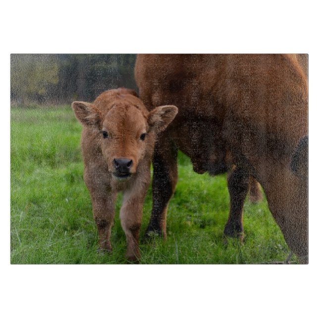 Planche À Découper Animaux de bébés cutest | Vache et veau (Devant)