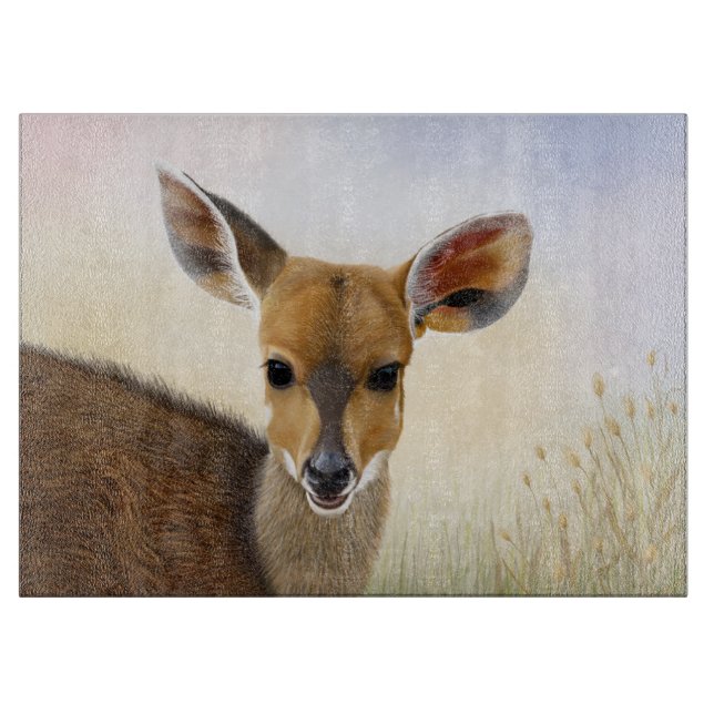 Planche À Découper Antelope Bushbuck Young African Deer Drawing (Devant)