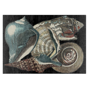 Planche À Découper Anthologie des coquillages