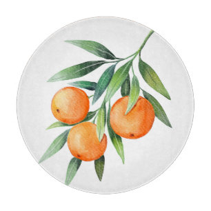 Planche À Découper Aquarelle Orange Fruits : Branches Isolées.