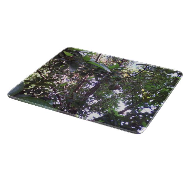 Planche À Découper Arbre d'avocatier (Coin)
