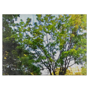 Planche À Découper Arbres Dans Le Parc D'Ottawa. Commandez dès mainte