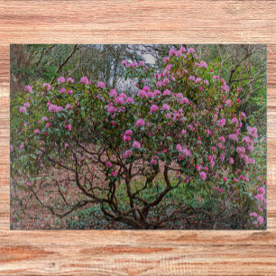 Planche À Découper Arbuste rose Rhododendron florissant