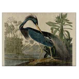 Planche À Découper Audubon Héron de Louisiane Oiseaux Amérique Art