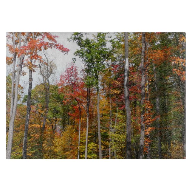 Planche À Découper Automne dans la forêt Colorée Photographie d'autom (Devant)