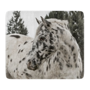 Planche À Découper Beau Appaloosa noir et blanc