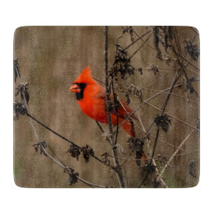 Planche À Découper Beau Cardinal du Nord