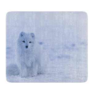 Planche À Découper Beau renard arctique