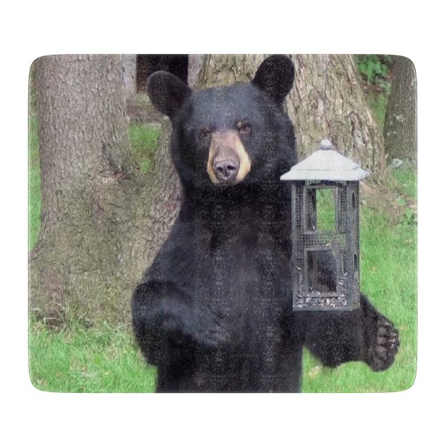 Planche À Découper Beau verre d'ours noir (Devant)