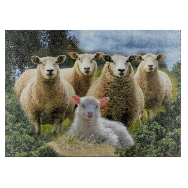 Planche À Découper Bébé agneau mouton troupeau troupeau troupeau (Devant)