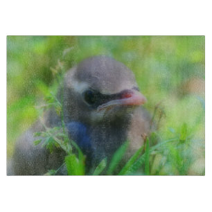 Planche À Découper Bébé Cèdre cire jeunes animaux d'oiseaux