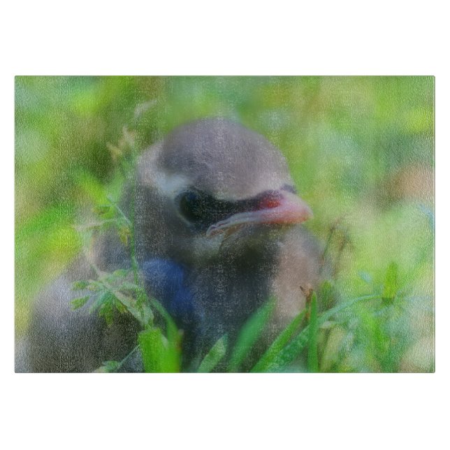 Planche À Découper Bébé Cèdre cire jeunes animaux d'oiseaux (Devant)