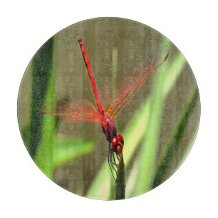 Planche À Découper Belle peinture acrylique de libellule de fût