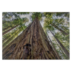 Planche À Découper Bois de Roosevelt