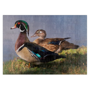 Planche À Découper Bord de lac, Canard branchu