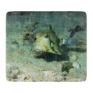 Planche À Découper Boxfish - tellement mignon ! Au-dessus d'une zone