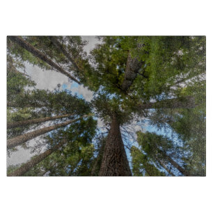Planche À Découper canopée de sapin de Douglas