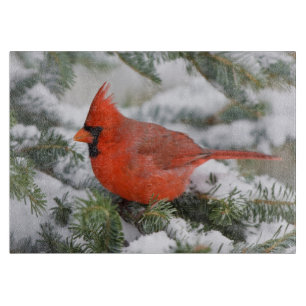 Planche À Découper Cardinal du Nord à Balsam sapin en hiver