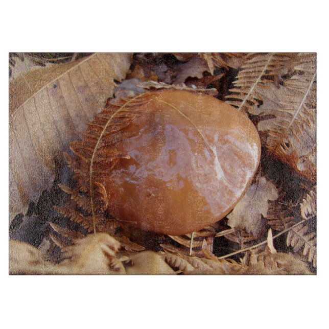 Planche À Découper Carte à découper en verre de Champignons Slipperpe (Devant)