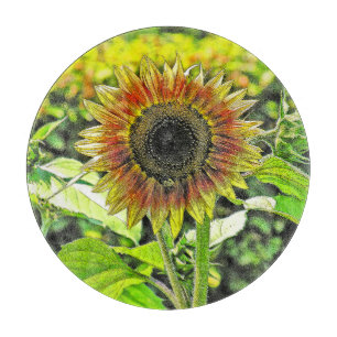 PLANCHE À DÉCOUPER CARTE DE COUPE DE VERRE RONDE "SUSLOWUR"