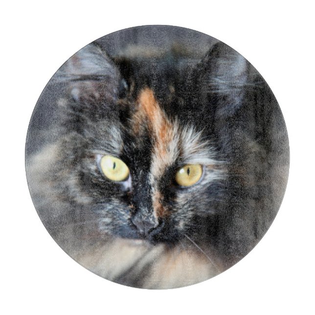 Planche À Découper Chat sibérien (Devant)