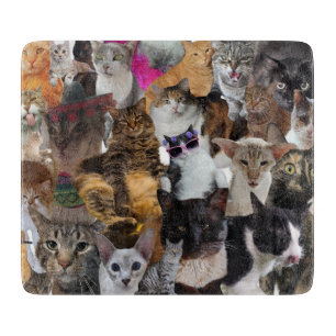 Planche À Découper Chats adorables Chats Chats Chats