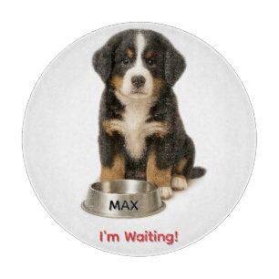 Planche À Découper Chatte Bernese Mountain Chiot personnalisé