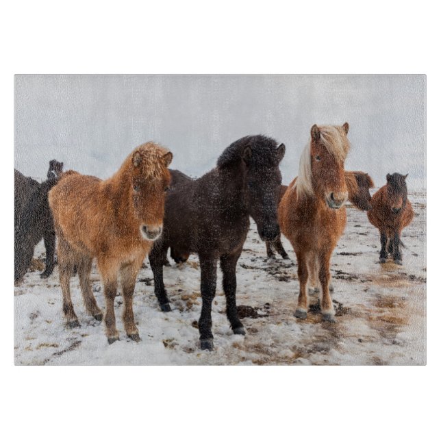 Planche À Découper Cheval islandais en hiver en Islande (Devant)