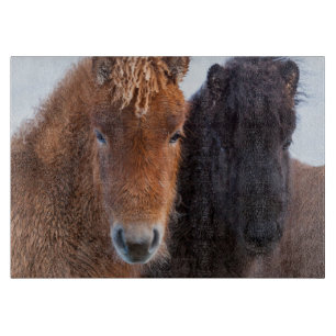 Planche À Découper Cheval islandais en hiver en Islande