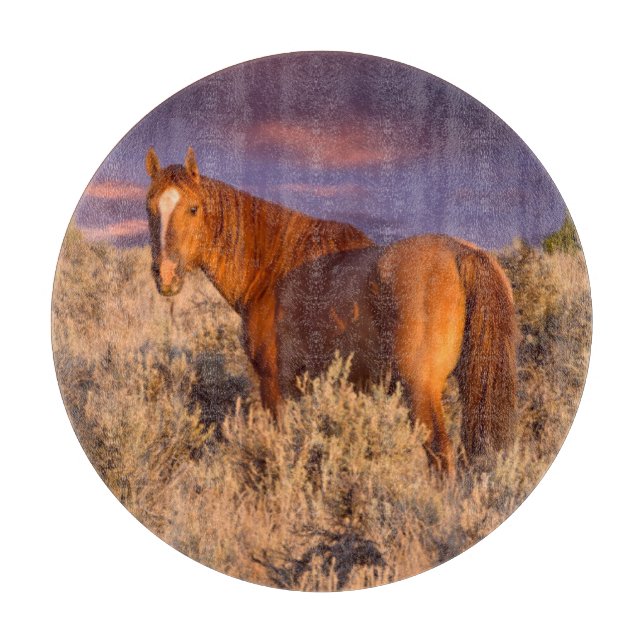 Planche À Découper Cheval sauvage du comté de Harney reste vigilant (Devant)
