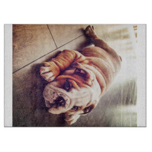 Planche À Découper Chien menteur de Bulldog anglais   Photo de chien