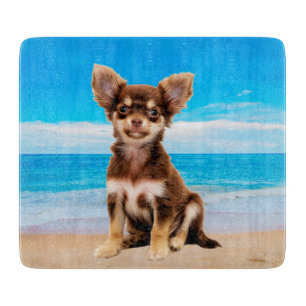 Planche À Découper Chihuahua Chig assis sur la plage tropicale