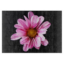 Chrysanthemum Fleur cbcnm