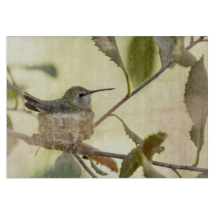 Planche À Découper Colibri femelle sur son nid