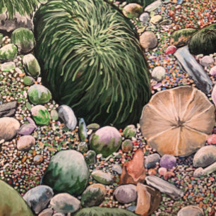 Planche À Découper Collection Oiseaux nouvelle