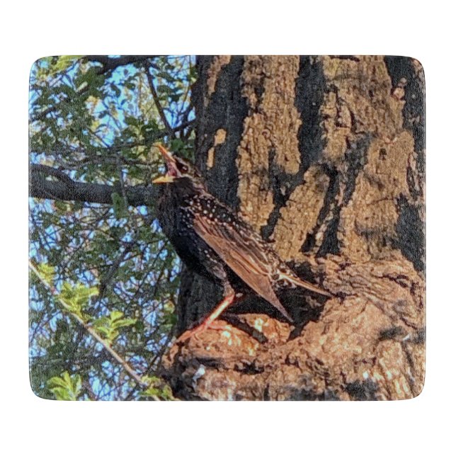Planche À Découper Commission de coupe d'oiseaux (Devant)