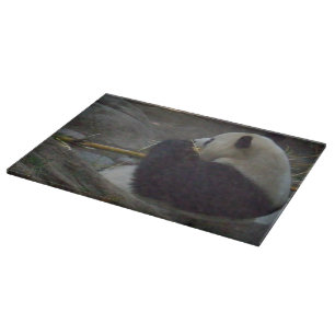 Planche À Découper Conseil de taille du verre d'ours panda