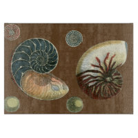Coque de cacao