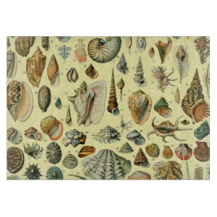 Planche À Découper Coquillages de coquillages Mollusk Clam Élégant Ar