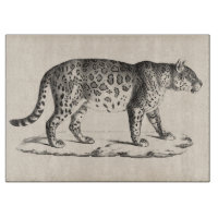 Croquis Brodtmann Leopard