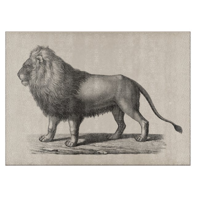 Planche À Découper Croquis Brodtmann Lion (Devant)