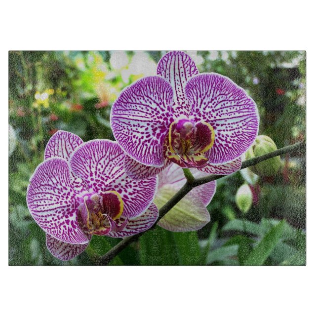 Planche À Découper Cuisine De Cuisine En Verre - Orchidées Violettes (Devant)