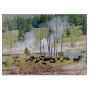 Planche À Découper Cuisine en verre - Bison de Yellowstone