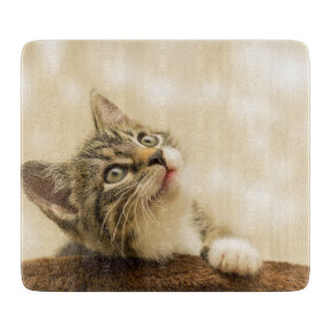 Planche À Découper Cute Kitten avec une paille étirée
