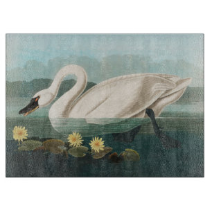 Planche À Découper cygne audubon cygnes d'eau blanche