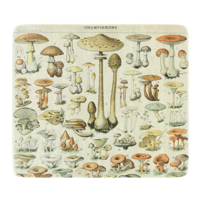 Planche à découper de champignons (Devant)