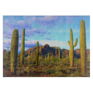 Planche À Découper Désert au printemps