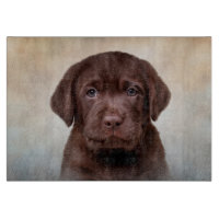 Dessin de chiot Labrador