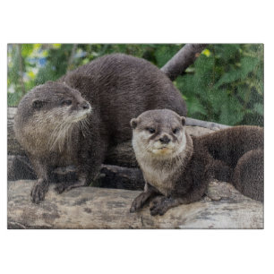 Planche À Découper Deux loutre mignonne des loutres  