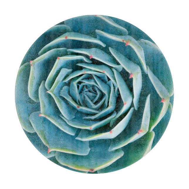 Planche À Découper Echeveria Rosette, Secret Garden of Marrakech (Devant)